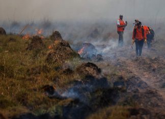 Milei disolvió por decreto los fondos fiduciarios de infraestructura regional, manejo del fuego y el Fondep