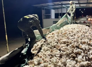 Interceptaron un camión con 30 toneladas de cuarzo