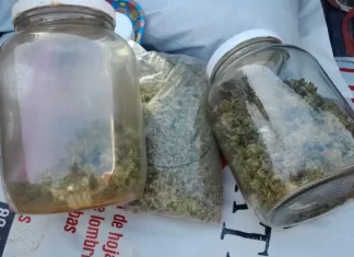Rivadavia: Interceptaron a una pareja con marihuana en su camioneta