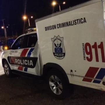 criminalistica_crop1670979684632.jpg_1199923512-360x360