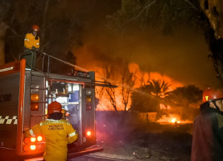 Un incendio de pastizales puso en riesgo viviendas