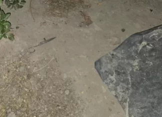Caucete: Cayó el «Kity» por robar una mochila usando una tijera
