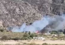 Grave incendio en Valle Fértil