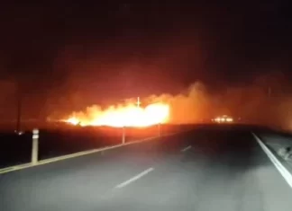 Por el viento Zonda, los Bomberos tuvieron que realizar más de 33 intervenciones