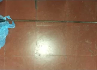 Pocito: una mujer atacó a una madre y su hija de 12 años con un fierro