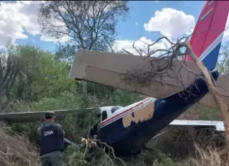 Salta: se estrelló una narcoavioneta con 130 kilos de cocaína