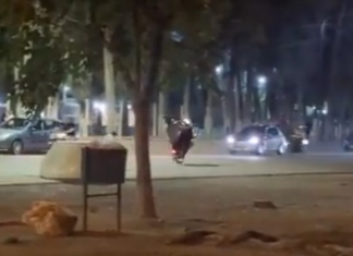 Rivadavia: filmaron picadas en el interior del Camping El Pinar