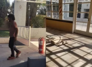 Rivadavia: un sujeto fue detenido por intentar robar un matafuegos