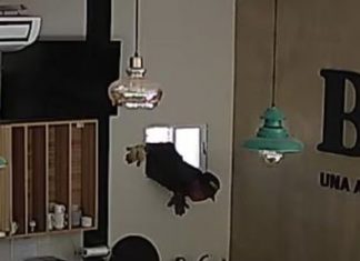 Detuvieron a un ladrón «equilibrista» que robó en una heladería