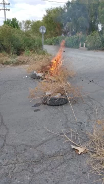 WhatsApp-Image-2026-01-09-at-13.04.03-203x360