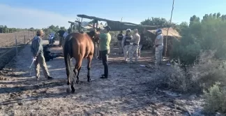 Cochagual: desbarataron carreras de caballos ilegales