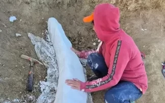 Centinela del Mar, Buenos Aires: descubrieron un colmillo de la Era del Hielo