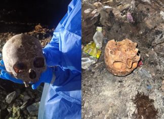 Siguen investigando acerca del cráneo humano hallado en Albardón