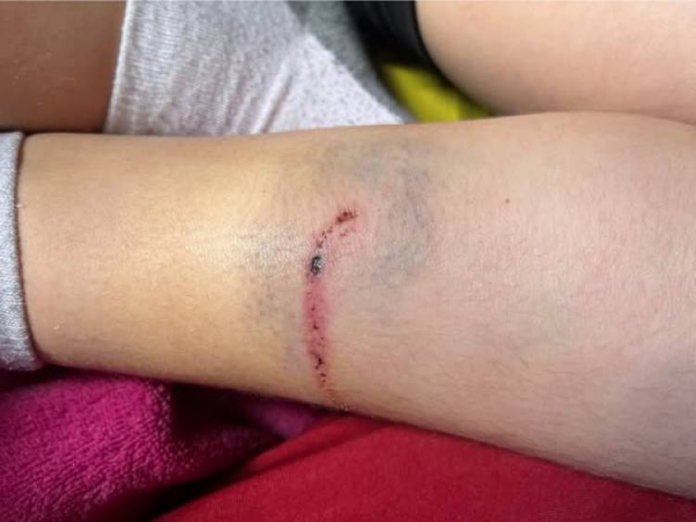 image - 2026-01-05T170139.301
