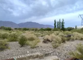 Pocito: hallaron a una persona sin vida en una finca