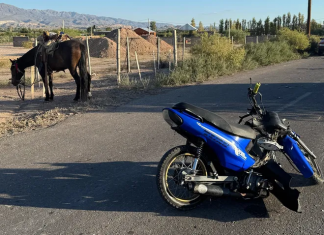 Rawson: un motociclista resultó herido tras chocar con un caballo