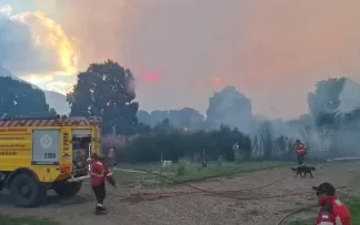 Chubut: surgieron nuevos focos de incendio en el Parque Nacional Los Alerces