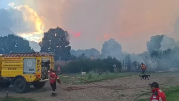 incendio-chubut2026-parque-nacional-360x203