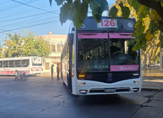 Un colectivo atropelló a una mujer que cruzaba la calle en Capital