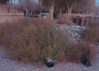 Pocito: detuvieron a una pareja que intentó robar en una vivienda