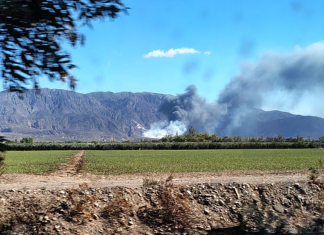 Se confirmó que el incendio en el Parque Tecnológico Ambiental fue intencional