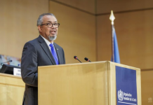 El director de la OMS advirtió sobre el hantavirus y el ébola