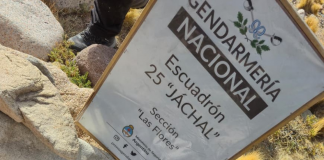 Iglesia: encontraron restos óseos humanos y vainas de fusil