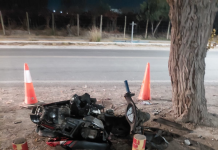 Un motociclista quedó en grave estado tras chocar contra un árbol