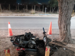 Un motociclista quedó en grave estado tras chocar contra un árbol