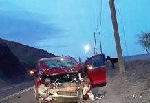 Calingasta: un grupo de caballos sueltos provocó un accidente