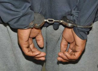 Detuvieron a un sujeto que asesinó a un perro comunitario en 25 de Mayo