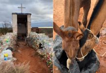 Un joven que recorre el país a caballo se quedó sin agua y la Difunta Correa lo salvó