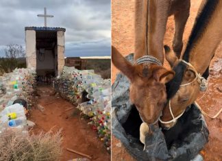 Un joven que recorre el país a caballo se quedó sin agua y la Difunta Correa lo salvó