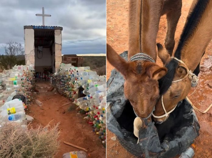 difunta-agua-caballos