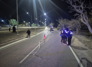 Rivadavia: un motociclista falleció tras chocar contra un árbol