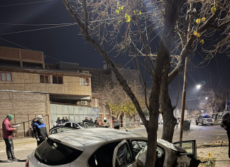 Un hombre de 67 años falleció tras chocar contra un árbol