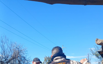 Caucete: secuestraron varios animales en un operativo por fauna ilegal