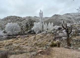 Valle Fértil amaneció cubierto de nieve
