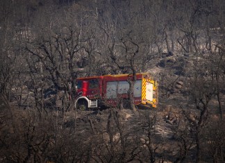 España: un incendio forestal dejó 11 muertos y más de 50 heridos