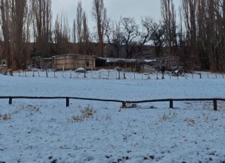 El EPRE intimó a Naturgy por los cortes de energía después de las nevadas