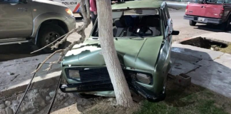 Albardón: un joven en estado de ebriedad chocó su auto contra un árbol