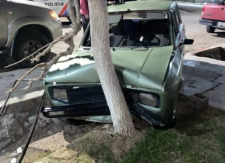 Albardón: un joven en estado de ebriedad chocó su auto contra un árbol