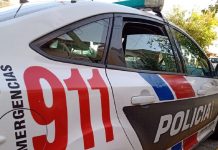 Rawson: policías secuestraron 56 plantas de marihuana en un procedimiento