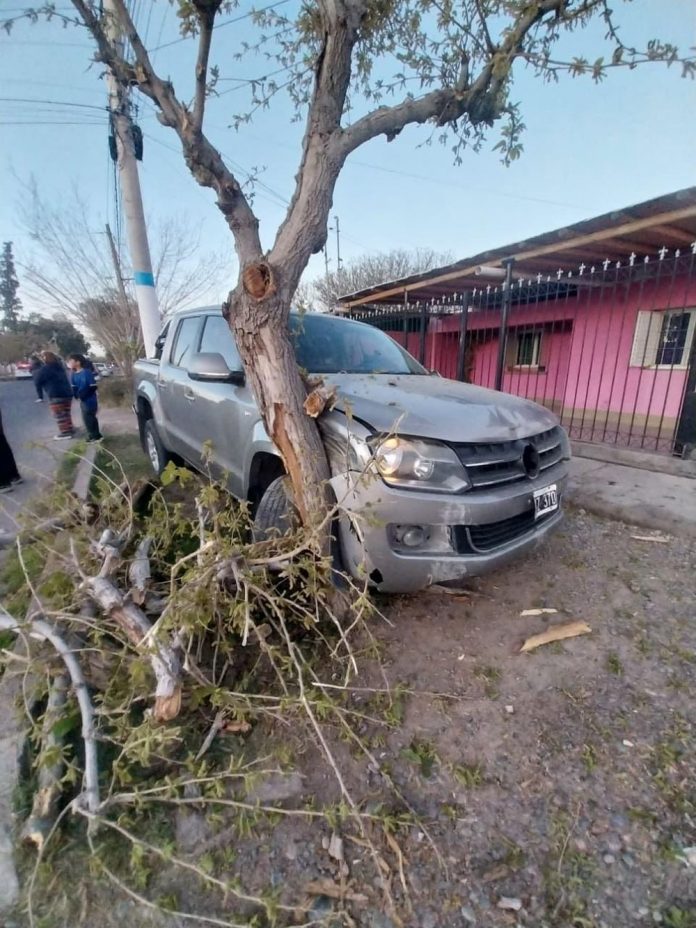 whatsapp-image-2026-08-24-at-090239