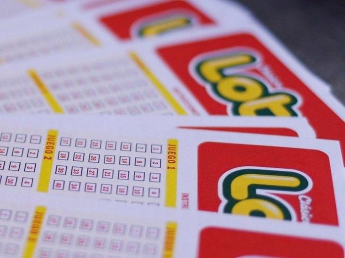 loto-plus-19602332026jpg