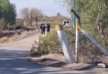 Revelaron el resultado de la autopsia del hombre encontrado muerto en una combi