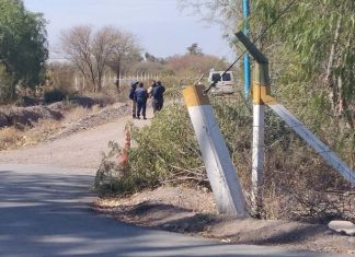 Revelaron el resultado de la autopsia del hombre encontrado muerto en una combi