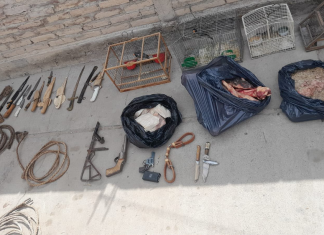 Bermejo: cuatro detenidos y secuestro de armas en un operativo por caza furtiva