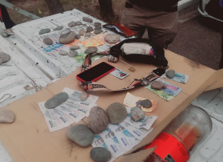 Detuvieron a dos sujetos tras una persecución en Rivadavia